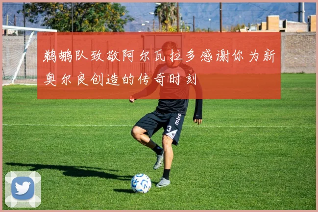 鹈鹕队致敬阿尔瓦拉多感谢你为新奥尔良创造的传奇时刻