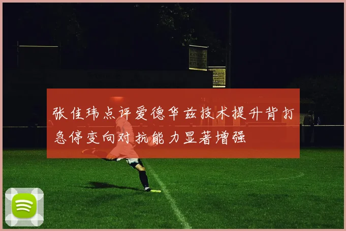 张佳玮点评爱德华兹技术提升背打急停变向对抗能力显著增强