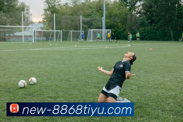 多媒体互动体验